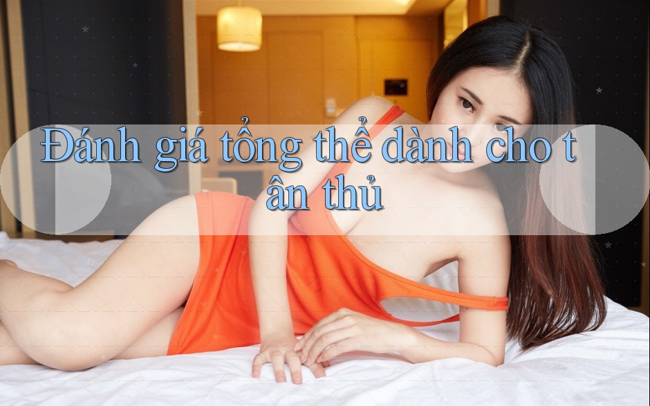 Đánh giá tổng thể dành cho tân thủ