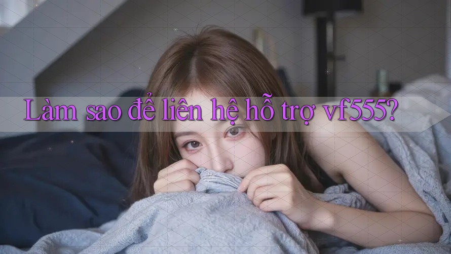 Làm sao để liên hệ hỗ trợ vf555?