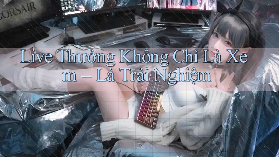 Live Thưởng Không Chỉ Là Xem – Là Trải Nghiệm