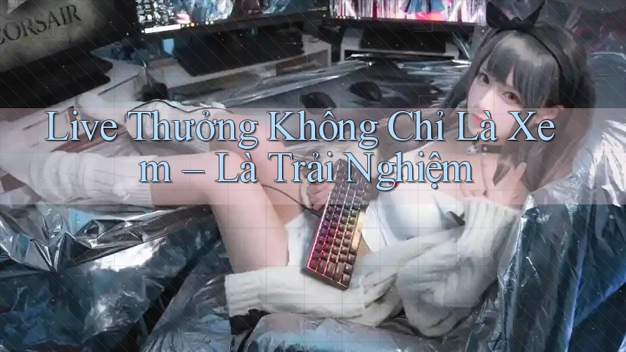 Live Thưởng Không Chỉ Là Xem – Là Trải Nghiệm