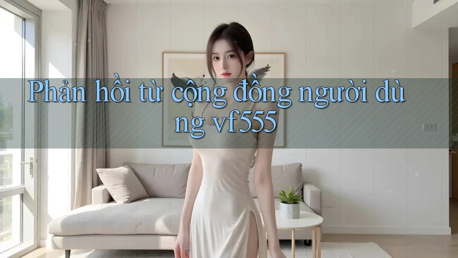 Phản hồi từ cộng đồng người dùng vf555