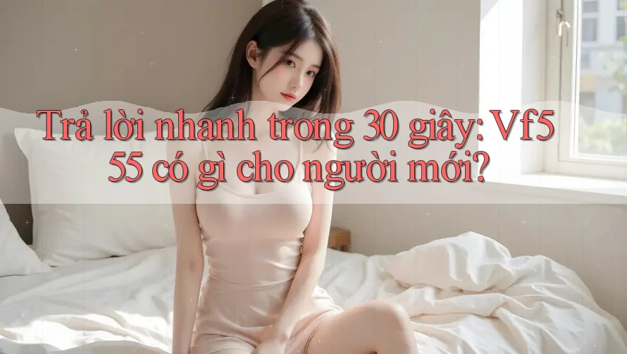 Trả lời nhanh trong 30 giây: Vf555 có gì cho người mới?