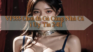 vf555  chơi đá gà cùng nhà cái uy tín 24h