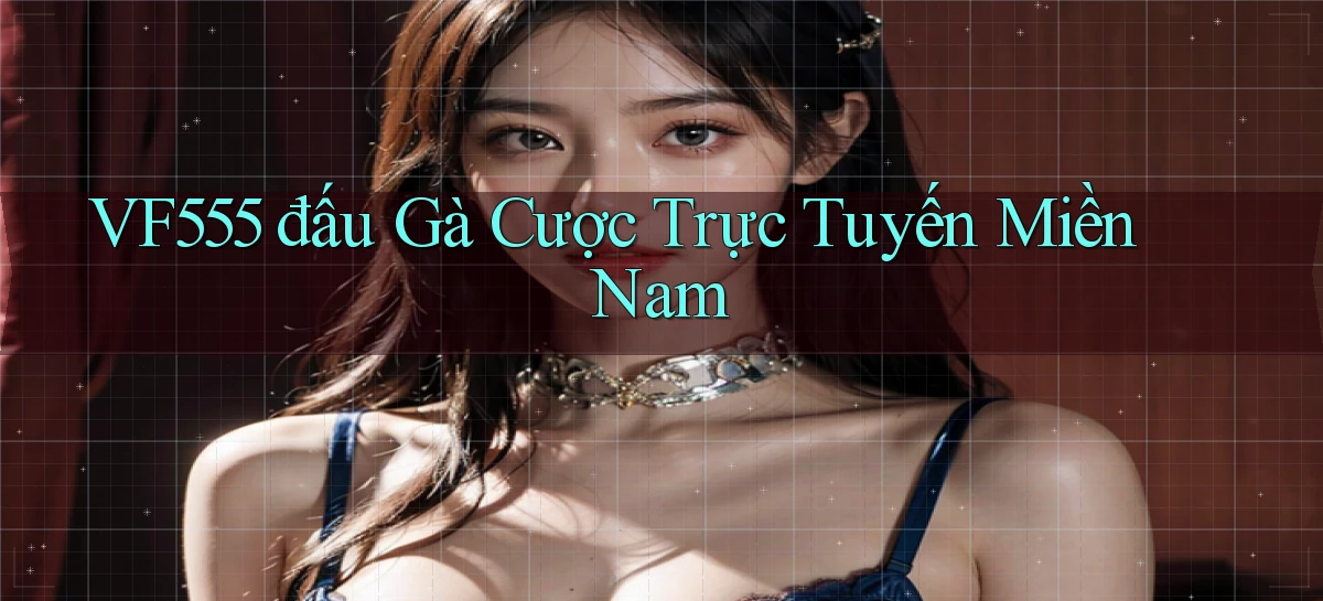 vf555  đấu gà cược trực tuyến miền nam