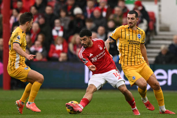 威廉姆斯贡 威廉姆斯贡