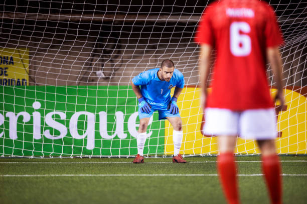 多维协作的 多维协作的