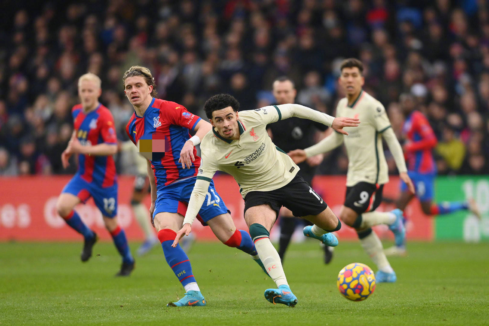 他们希望球 他们希望球